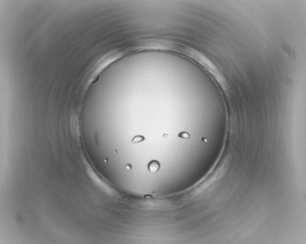 X0000115691433200911251804