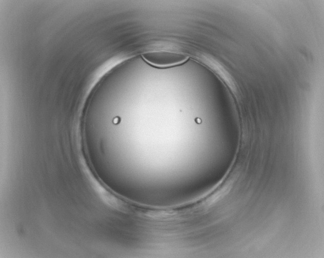 X0000115691434200911251804