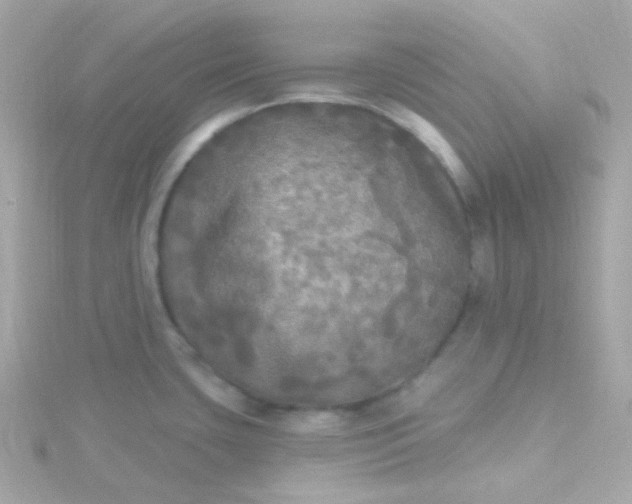 X0000115691435200911251804