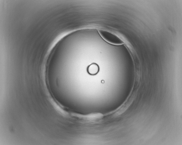 X0000115691438200911251804