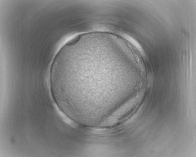 X0000115691439200911251804