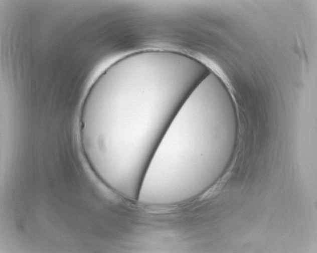 X0000115691440200911251804