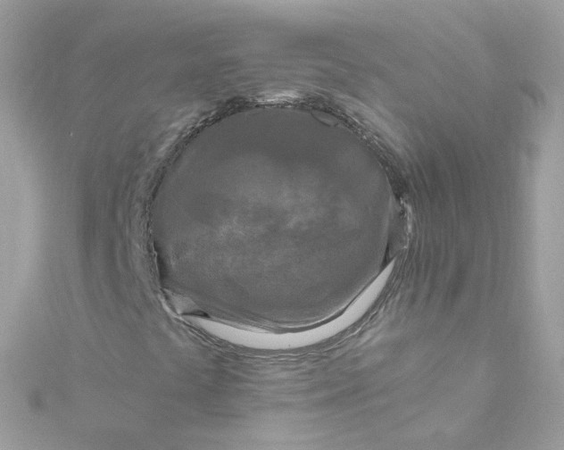 X0000115691441200911251803