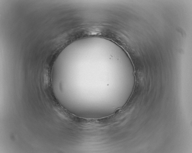 X0000115691442200911251803