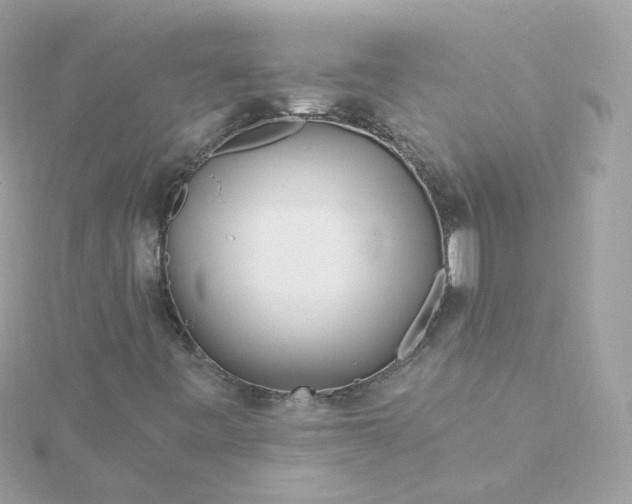 X0000115691443200911251803