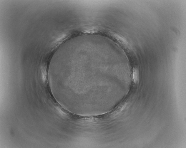 X0000115691444200911251803