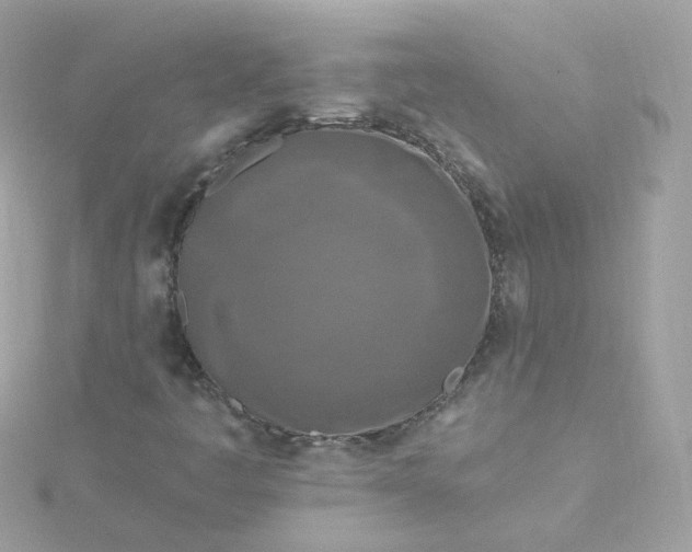 X0000115691445200911251803