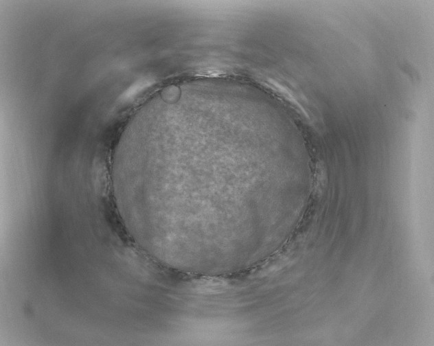 X0000115691446200911251803