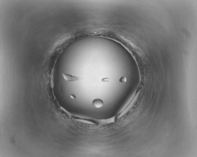 X0000115691447200911251803