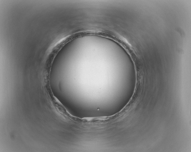 X0000115691448200911251803