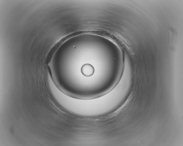 X0000115691449200911251803