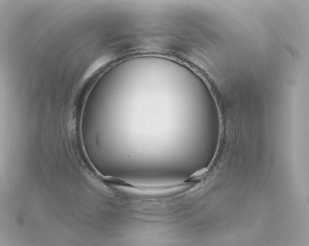 X0000115691450200911251803