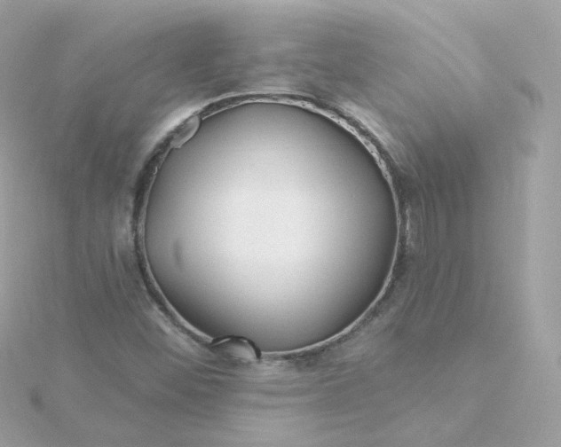 X0000115691452200911251803