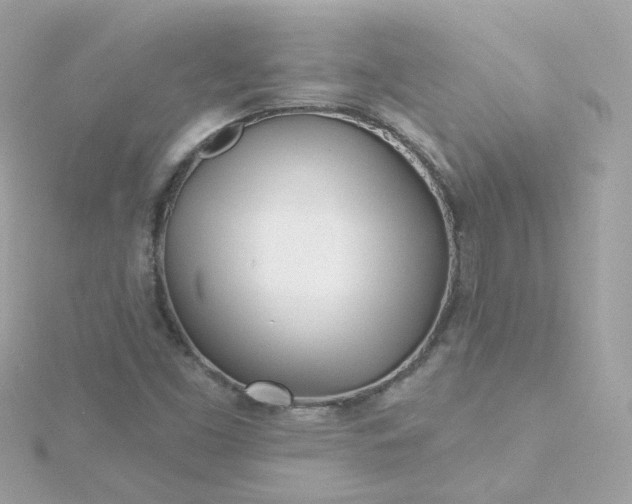 X0000115691453200911251803