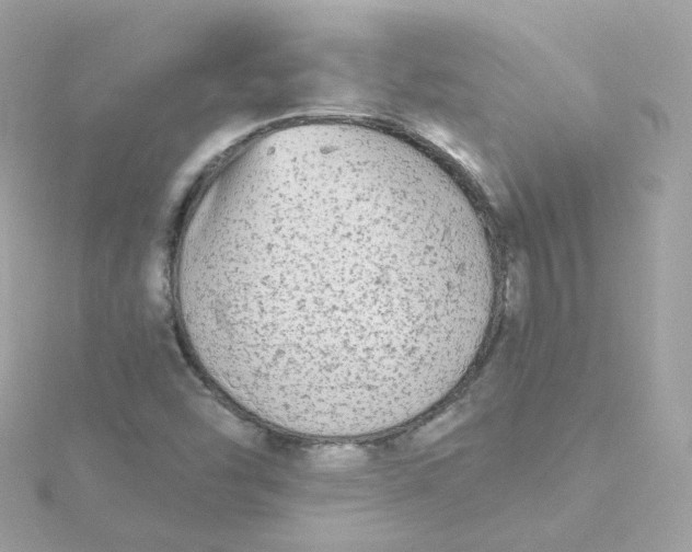 X0000115691454200911251803