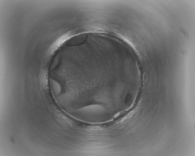 X0000115691455200911251803