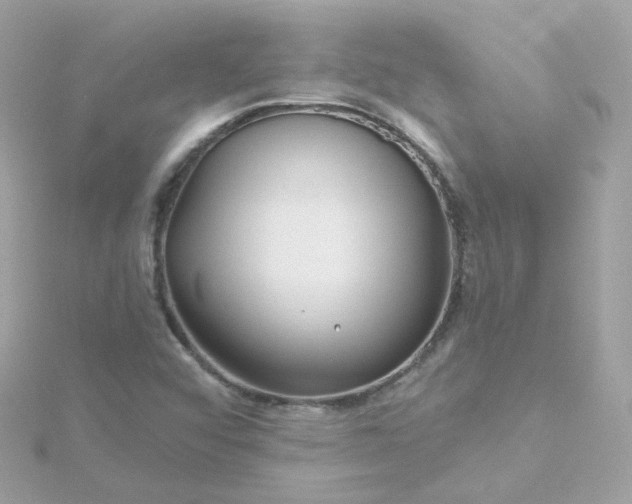 X0000115691456200911251803