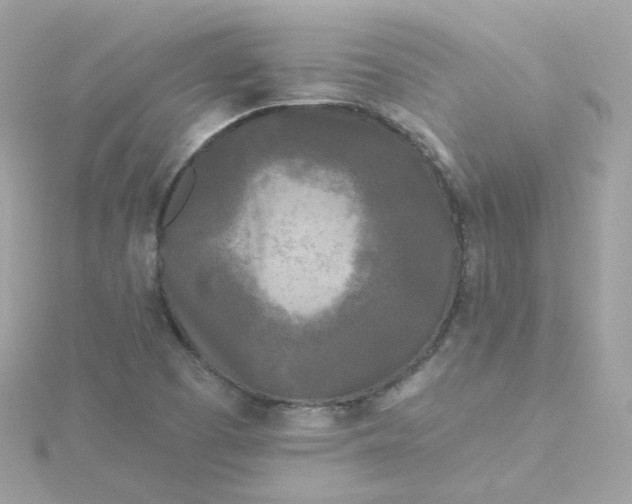 X0000115691457200911251803