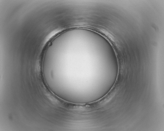 X0000115691458200911251803