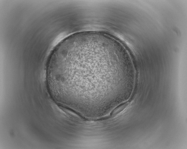 X0000115691459200911251803