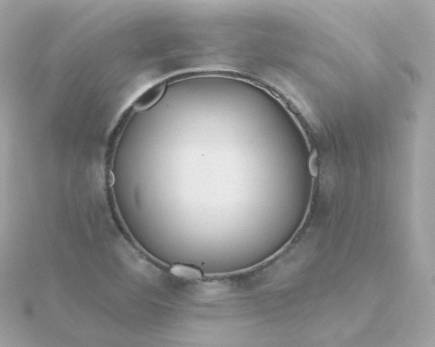 X0000115691460200911251803