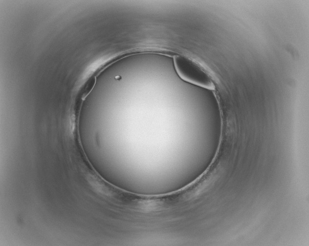 X0000115691461200911251803