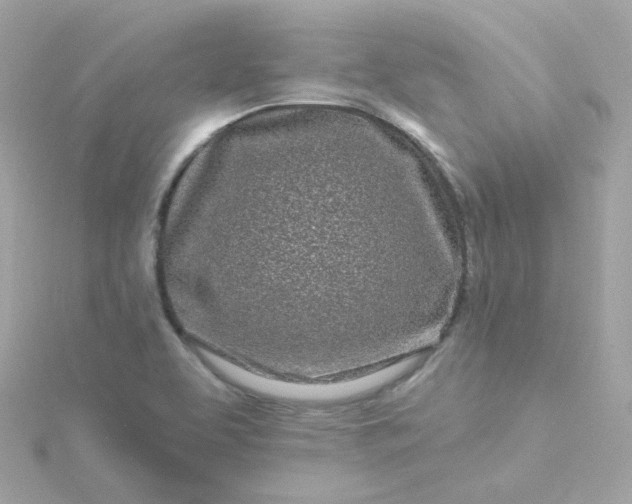 X0000115691463200911251803