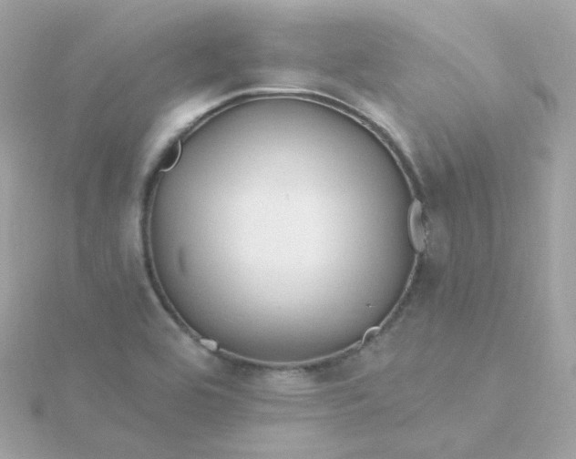 X0000115691464200911251803