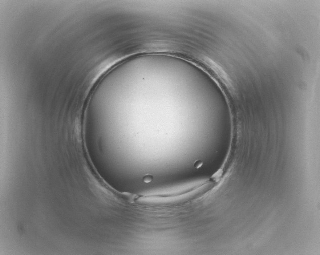 X0000115691465200911251803