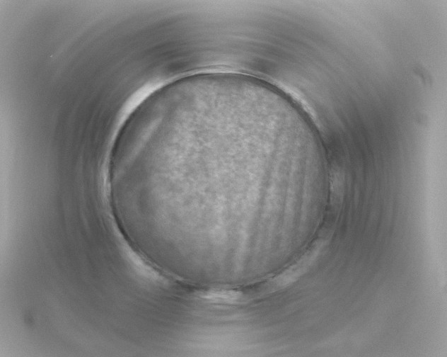 X0000115691466200911251803