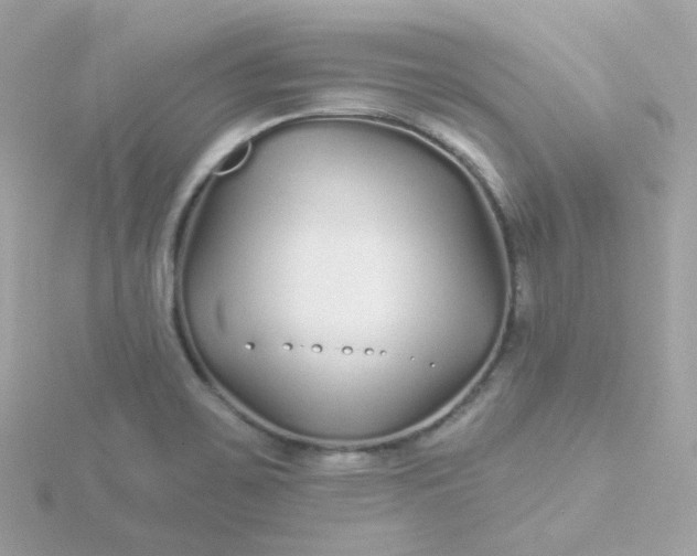 X0000115691467200911251803