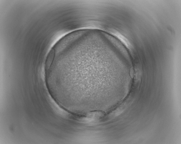 X0000115691468200911251803