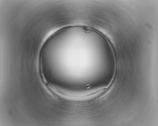 X0000115691469200911251803