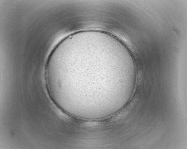 X0000115691470200911251803