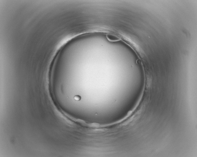 X0000115691471200911251803