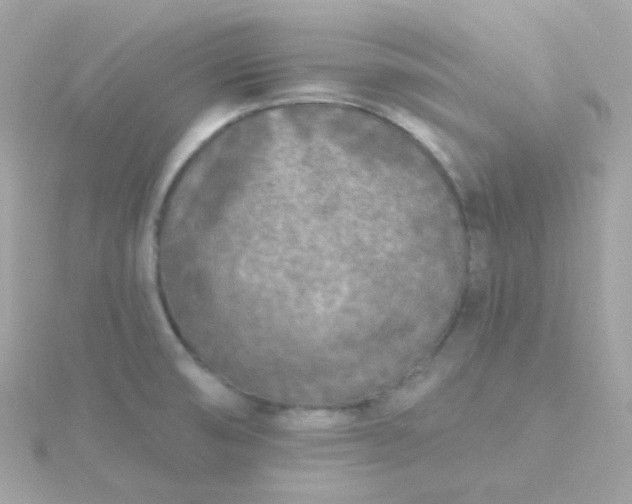 X0000115691474200911251803