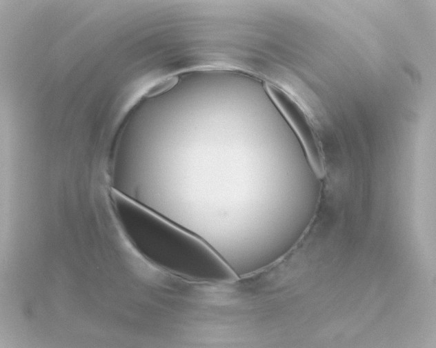 X0000115691476200911251803