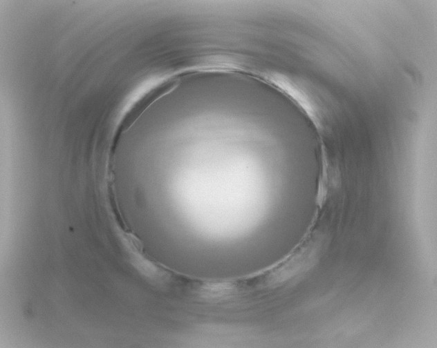 X0000115691477200911251803