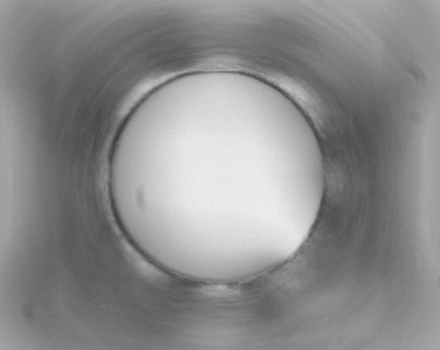 X0000115691478200911251803