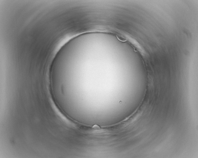 X0000115691479200911251803