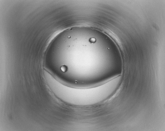 X0000115691481200911251803