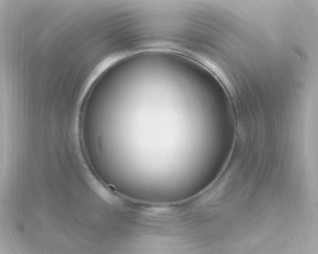 X0000115691482200911251803