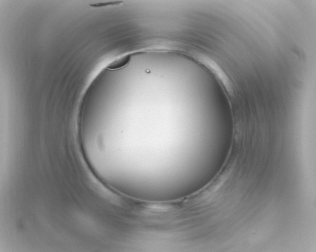 X0000115691483200911251803