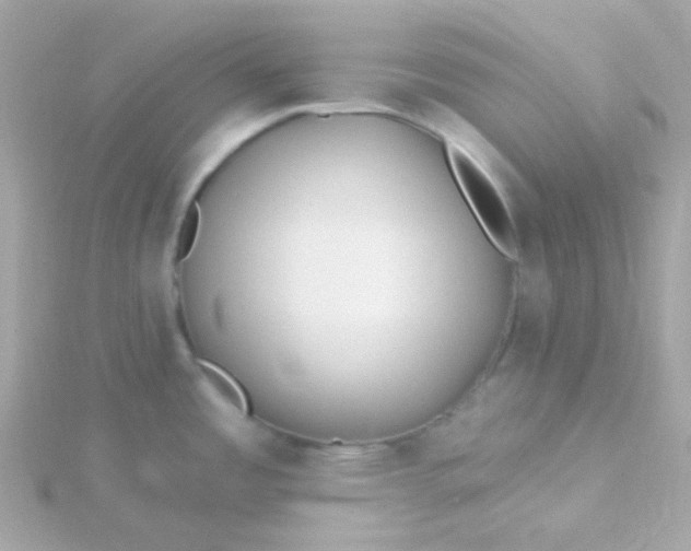 X0000115691485200911251803