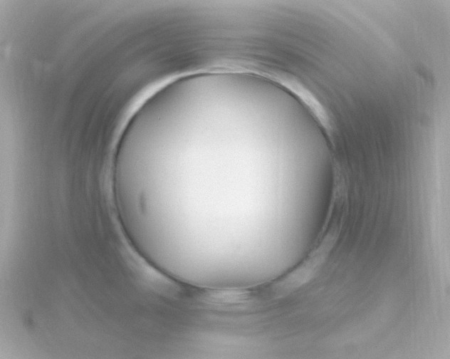 X0000115691486200911251802