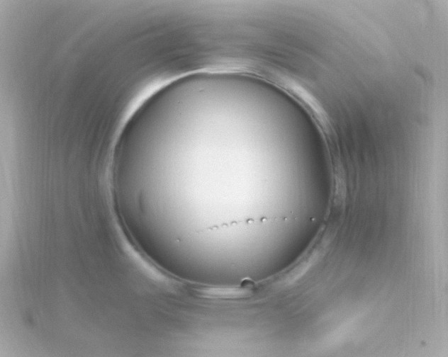 X0000115691487200911251802