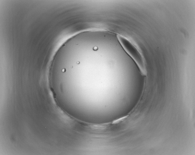 X0000115691488200911251802