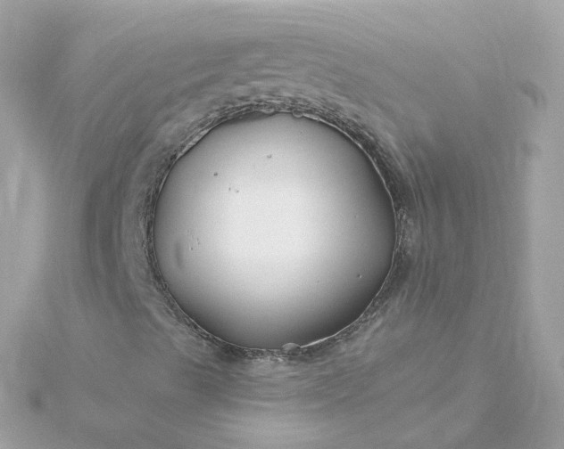 X0000115691489200911251802