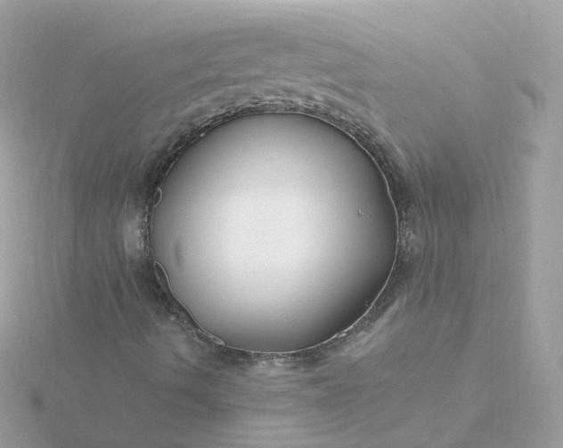 X0000115691490200911251802