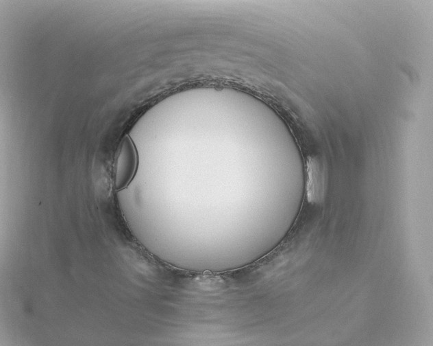 X0000115691491200911251802